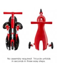 Tricycle Bug Trike Ride for Toddlers